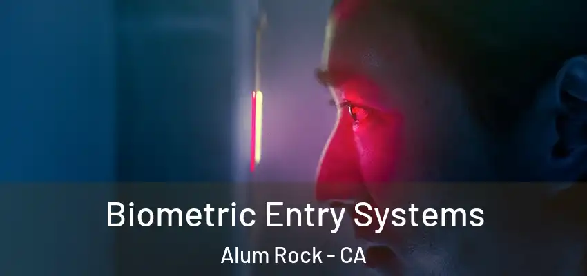  Biometric Entry Systems Alum Rock - CA