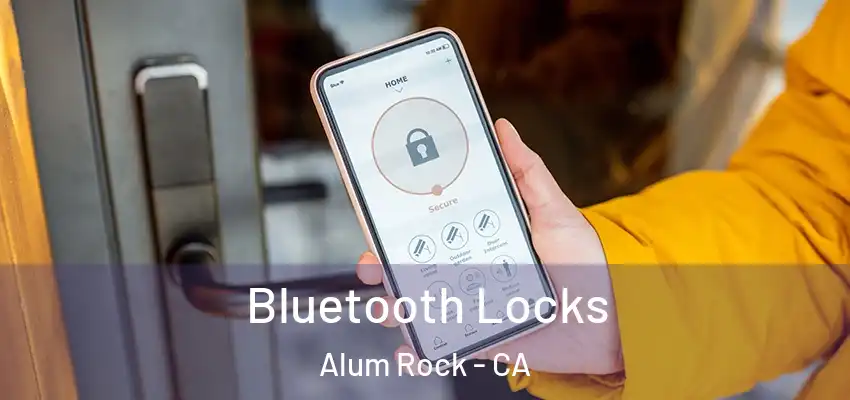  Bluetooth Locks Alum Rock - CA