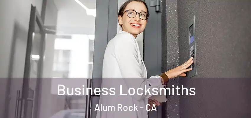 Business Locksmiths Alum Rock - CA