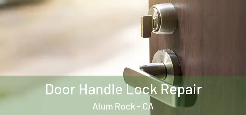 Door Handle Lock Repair Alum Rock - CA