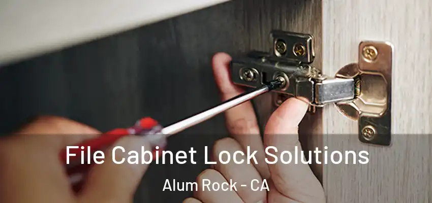 File Cabinet Lock Solutions Alum Rock - CA