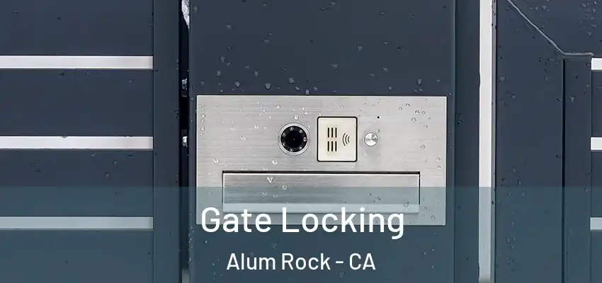 Gate Locking Alum Rock - CA