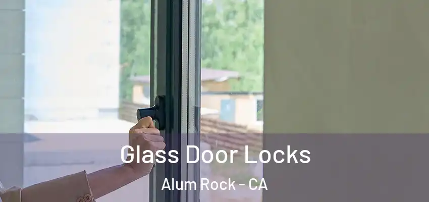  Glass Door Locks Alum Rock - CA