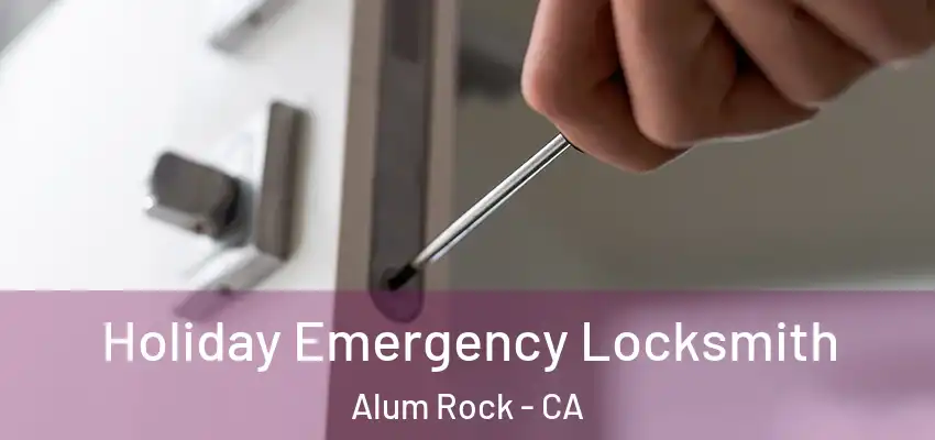  Holiday Emergency Locksmith Alum Rock - CA