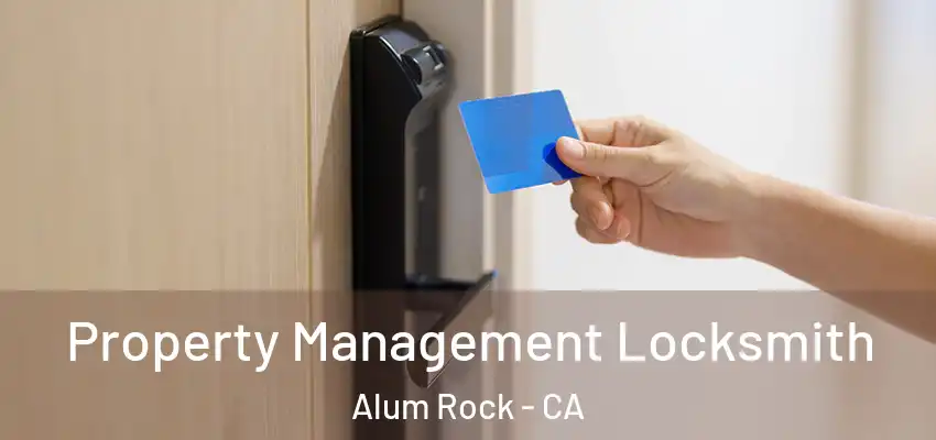Property Management Locksmith Alum Rock - CA